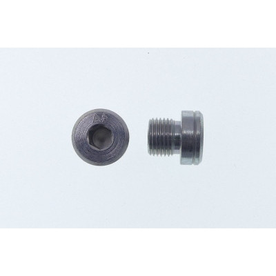 Bouchon 1/8 G Longueur 8 mm